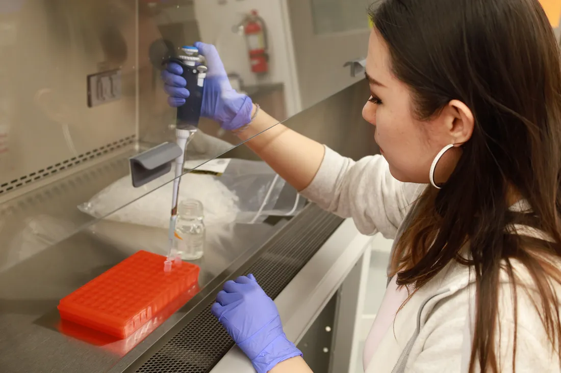 Student working in a lab