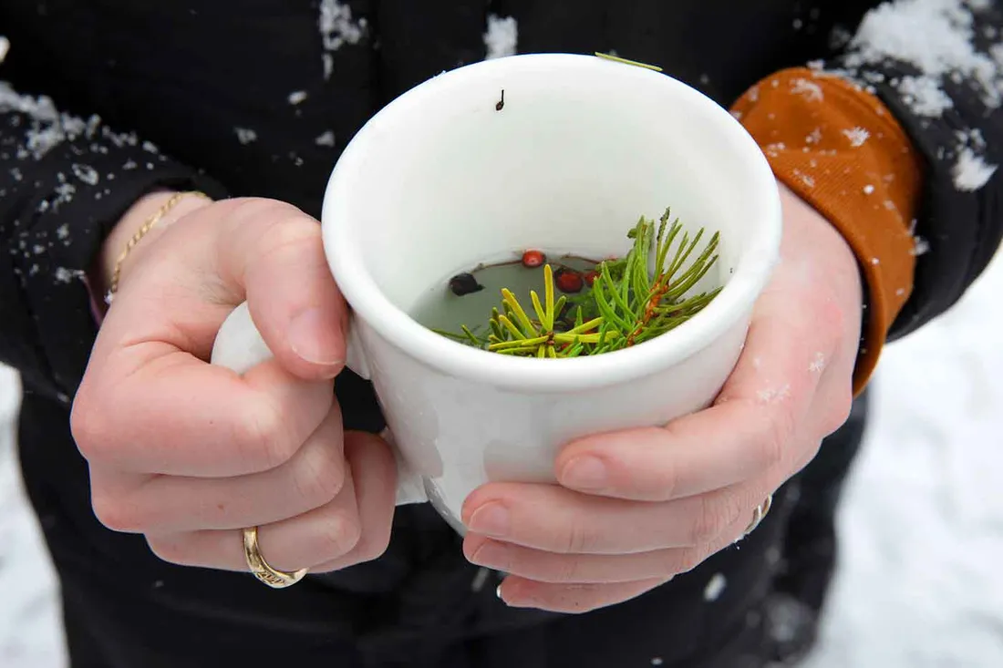 student holding cup of tea with foraged berries
