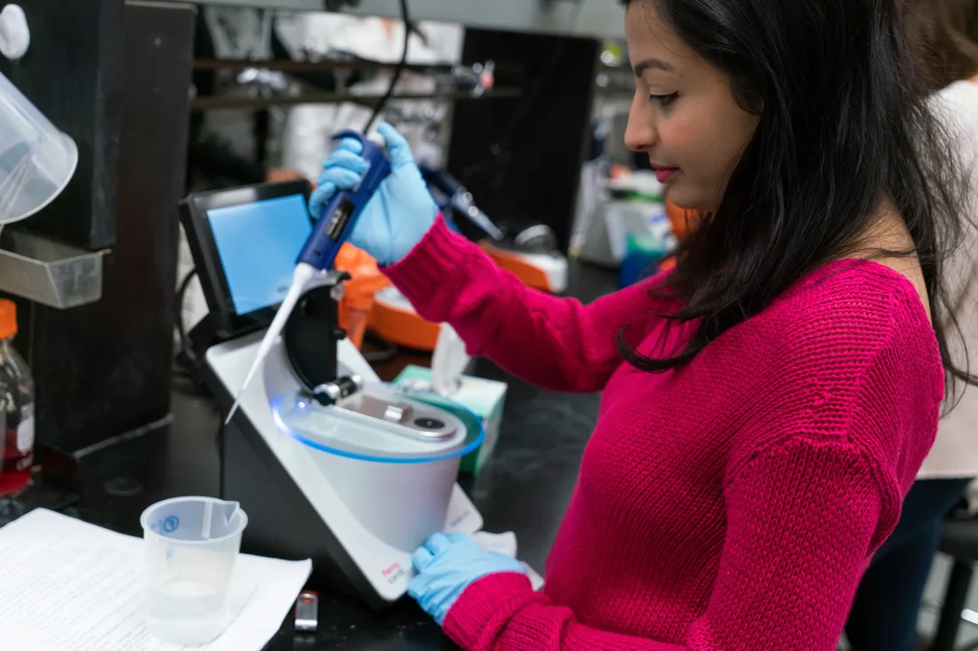 Students work with lab equipment