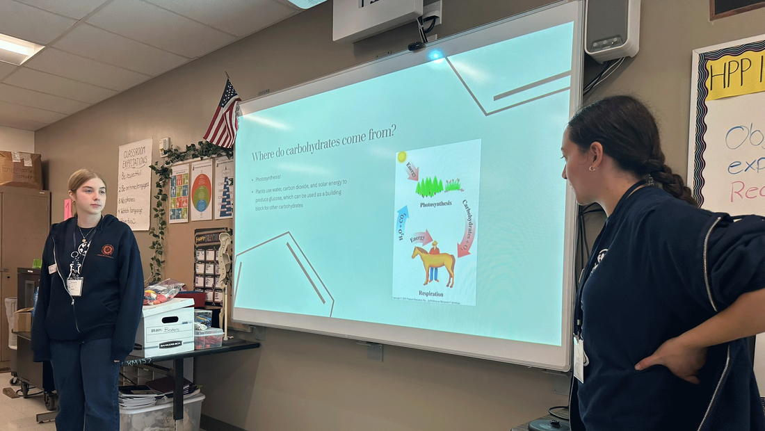 Interns Sophie Denham and Tracey Rodriques standing in front of media screen presenting at Henninger High School