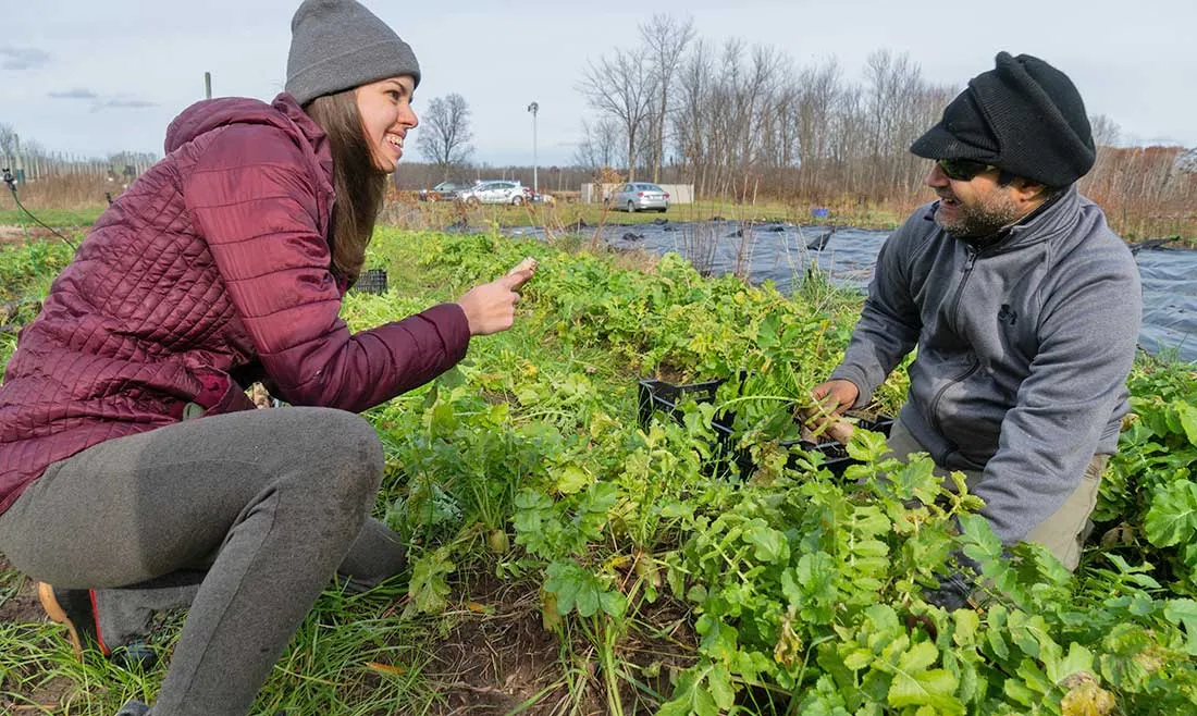 farm manager and student picking radishes at Salt City Harvest farm