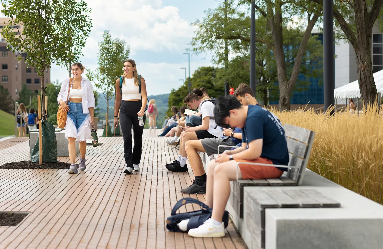 Students on the promenade studying and walking.