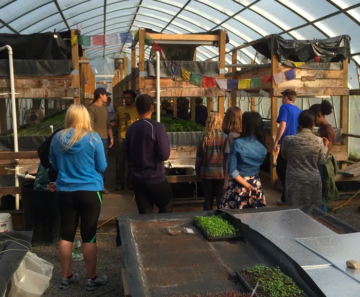 food studies students visit greenhouse
